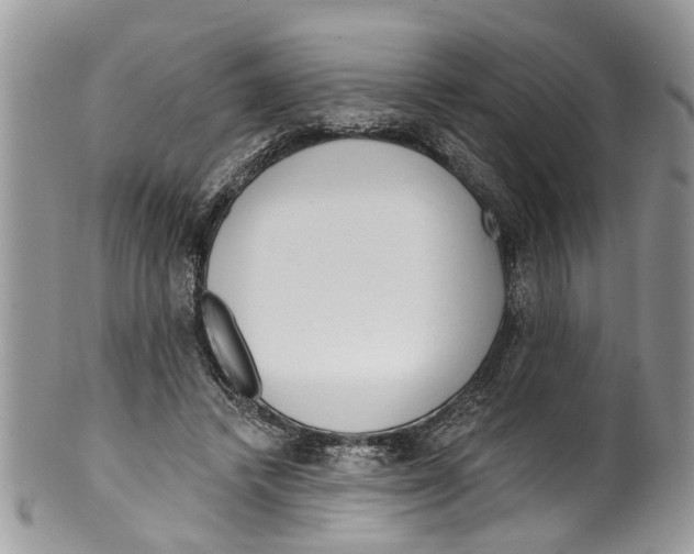 X0000099580448200806131322