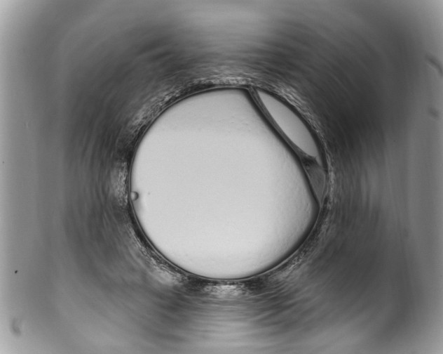 X0000099580449200806131322