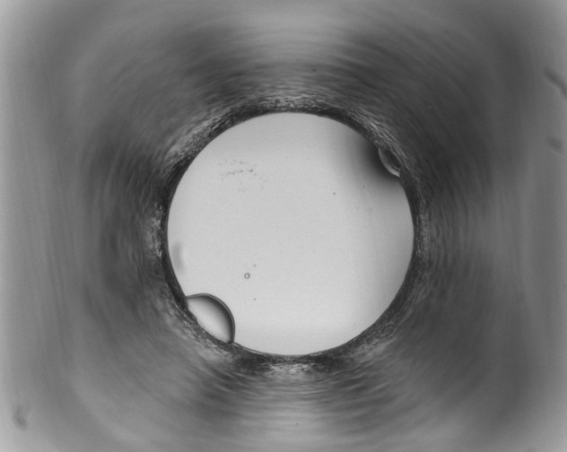 X0000099580450200806131322