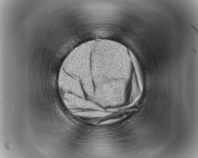 X0000099580451200806131322