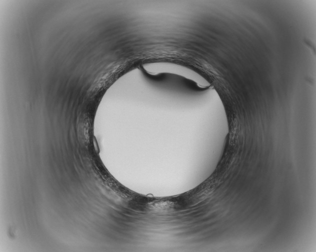 X0000099580452200806131322