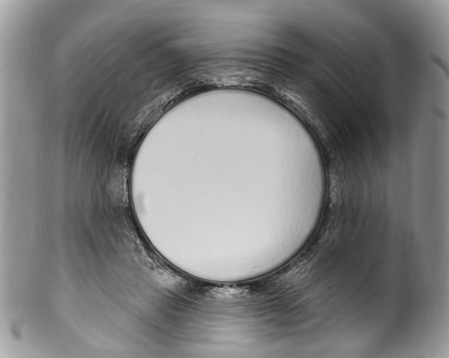 X0000099580453200806131322