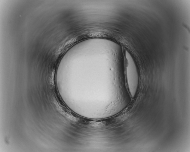 X0000099580454200806131322