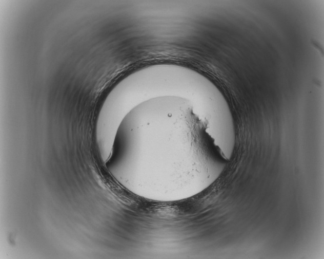 X0000099580456200806131322