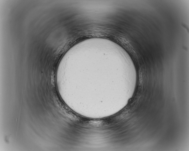 X0000099580457200806131322