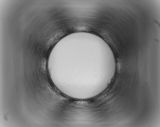 X0000099580458200806131322