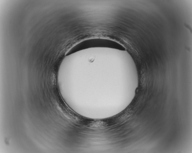 X0000099580459200806131322