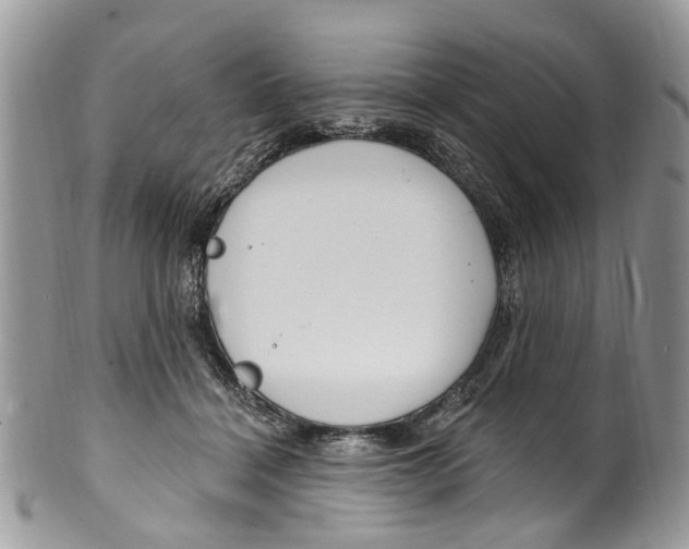 X0000099580460200806131322