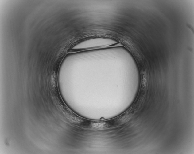 X0000099580461200806131322