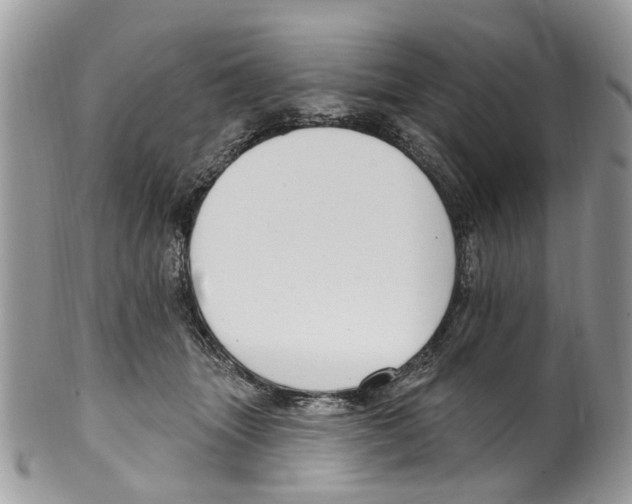 X0000099580463200806131322