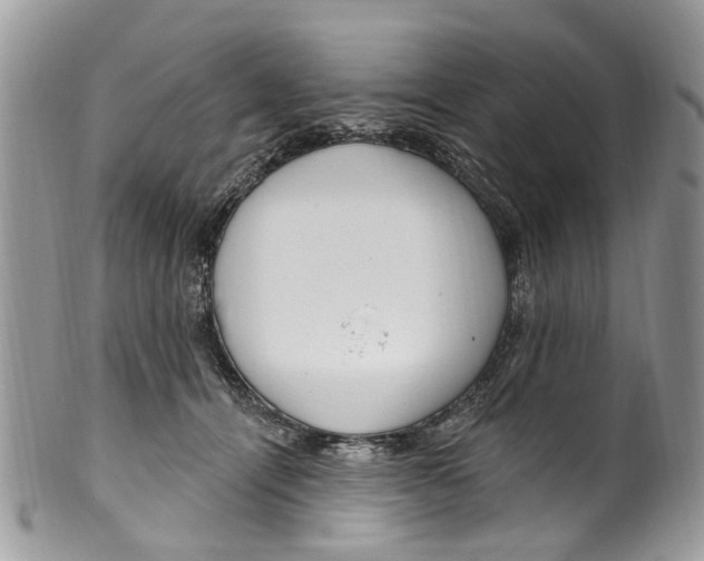 X0000099580464200806131322