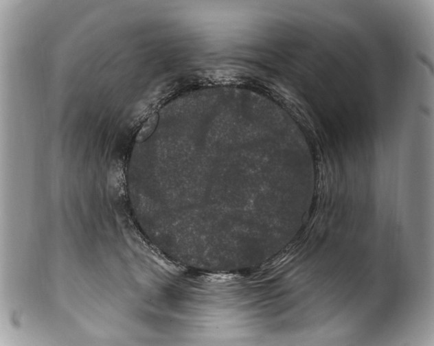 X0000099580465200806131322