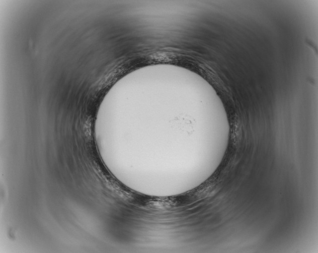 X0000099580466200806131322