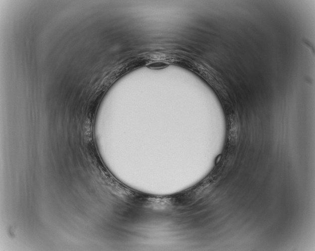 X0000099580469200806131322