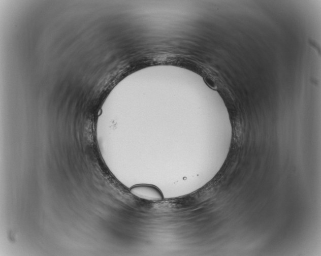 X0000099580470200806131322