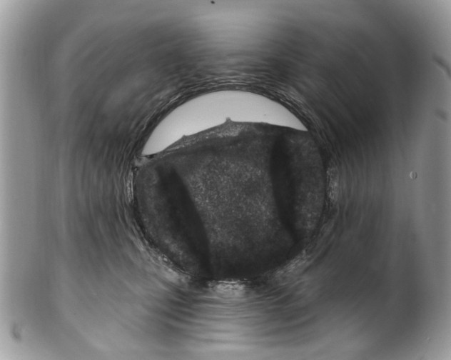 X0000099580471200806131322