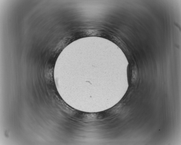 X0000099580473200806131322