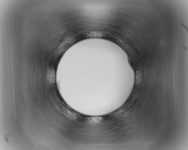 X0000099580474200806131322