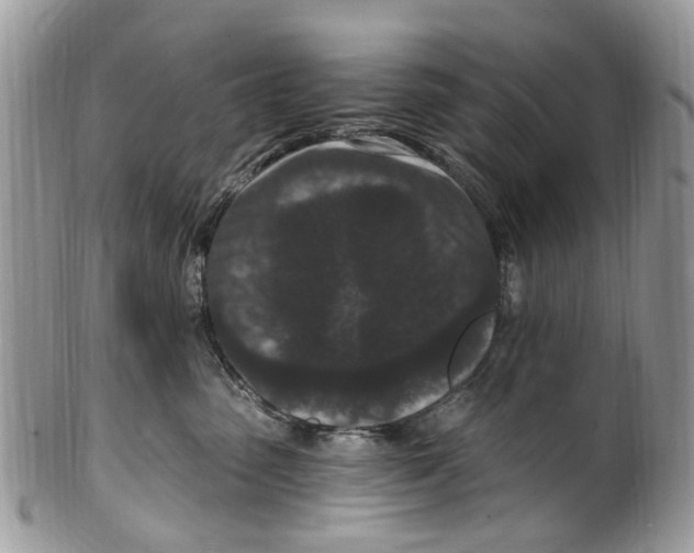 X0000099580475200806131322