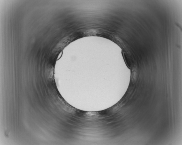 X0000099580477200806131322