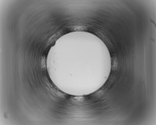 X0000099580478200806131322