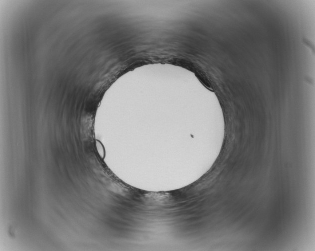 X0000099580480200806131322