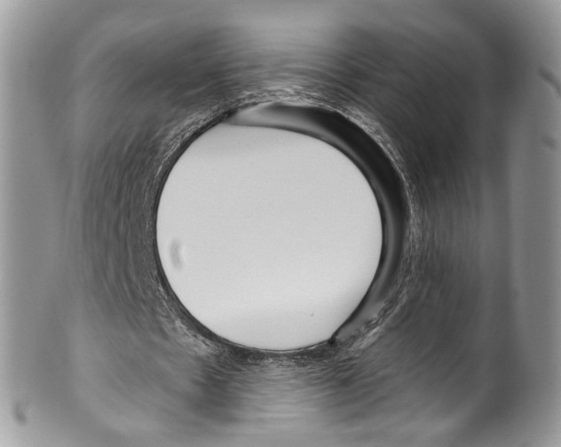 X0000099580481200806131321