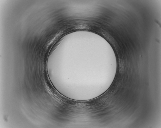 X0000099580482200806131321