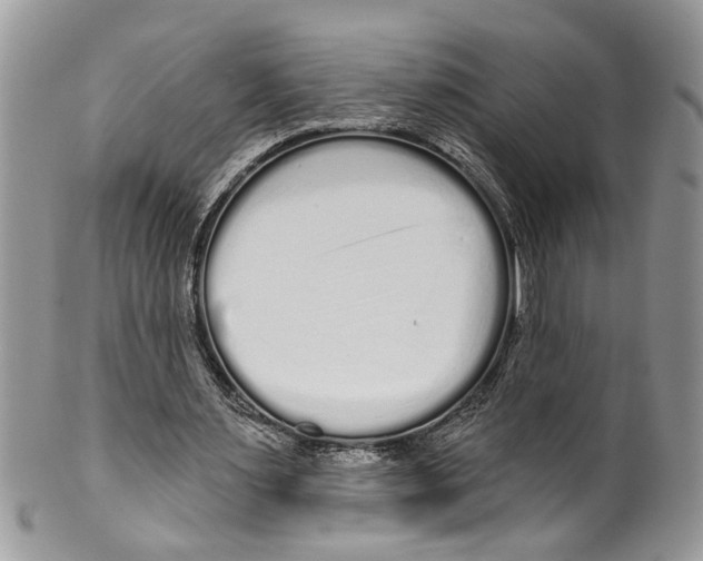 X0000099580483200806131321