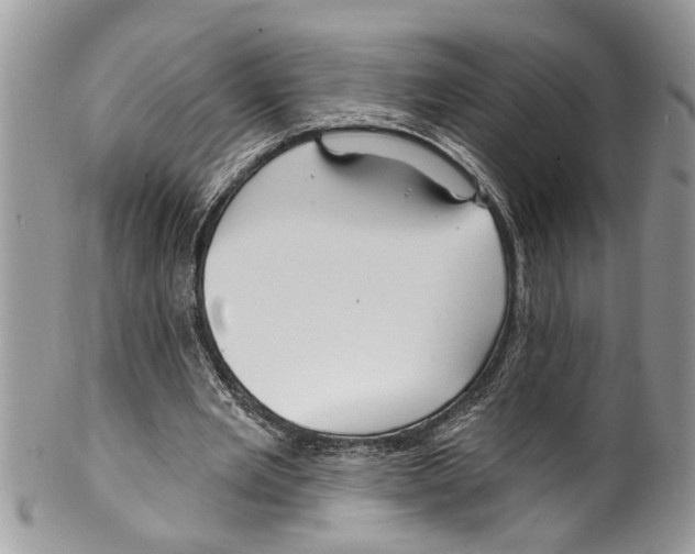 X0000099580485200806131321