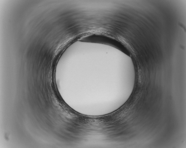 X0000099580486200806131321