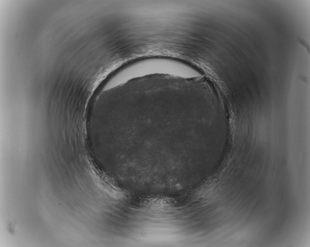 X0000099580488200806131321