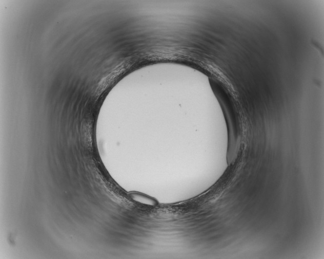 X0000099580489200806131321