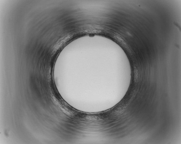 X0000099580490200806131321