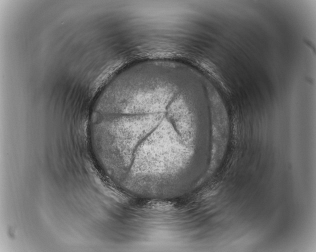 X0000099580491200806131321