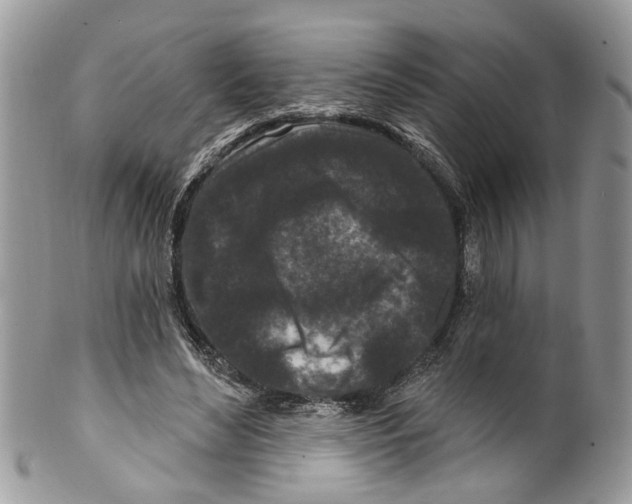 X0000099580492200806131321