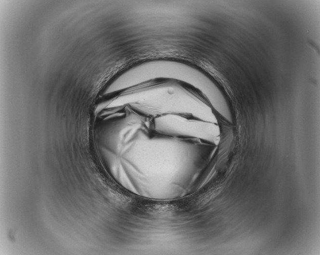 X0000099580493200806131321