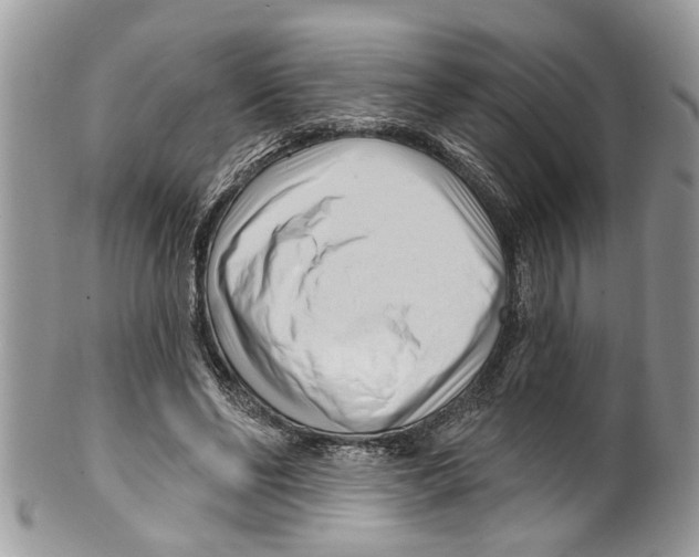 X0000099580494200806131321