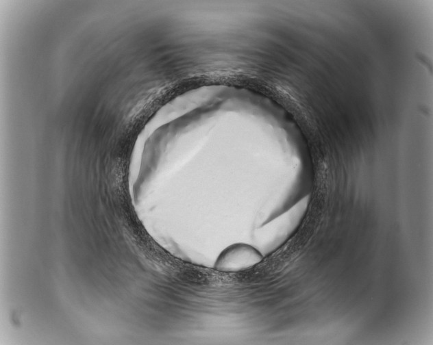 X0000099580495200806131321