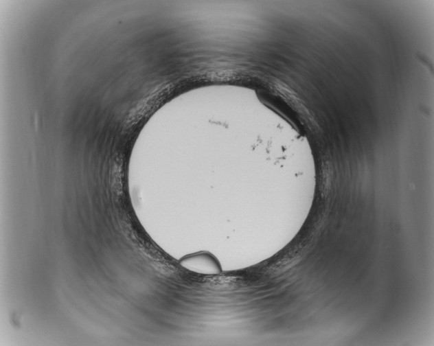 X0000099580497200806131321