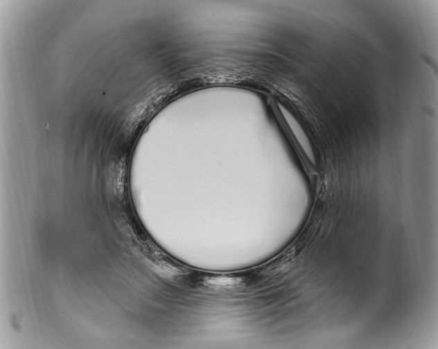 X0000099580499200806131321