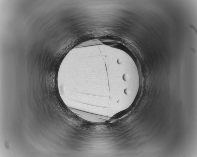 X0000099580501200806131321