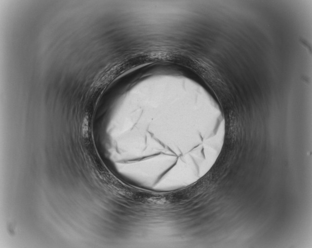 X0000099580502200806131321