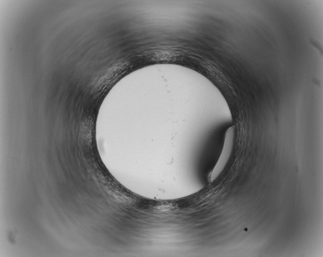 X0000099580505200806131321