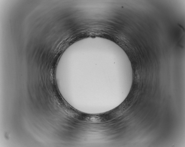 X0000099580506200806131321