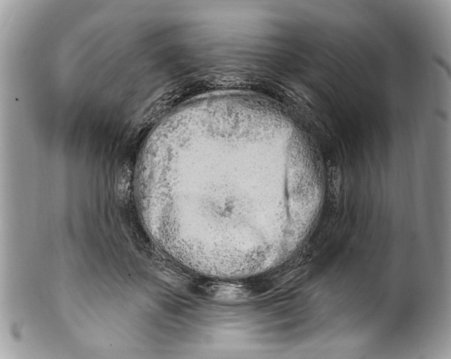 X0000099580507200806131321