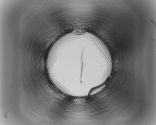 X0000099580508200806131321