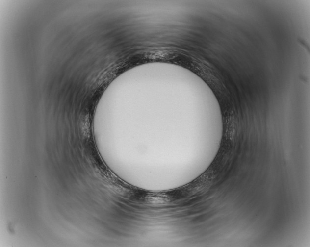 X0000099580510200806131321