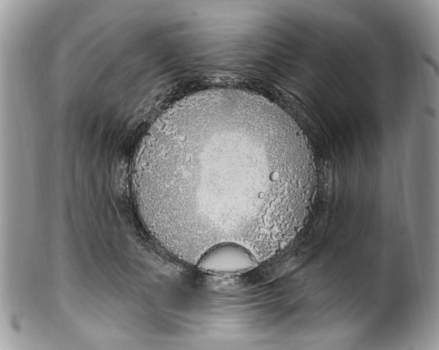 X0000099580511200806131321