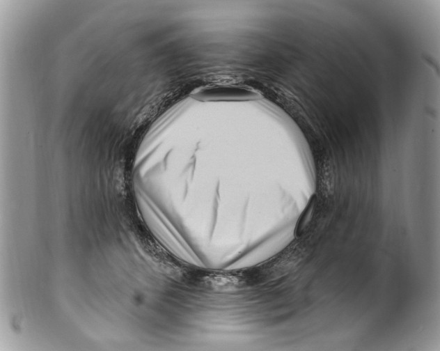 X0000099580512200806131321